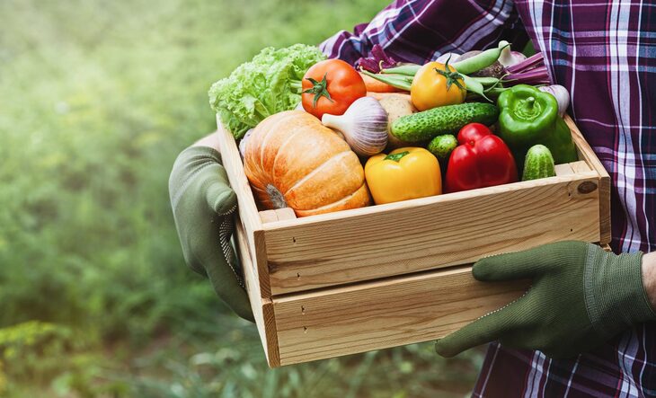 Calendário De Fruta E Legumes Da Época
