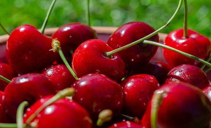 Cherries 5326640 1280 Zz